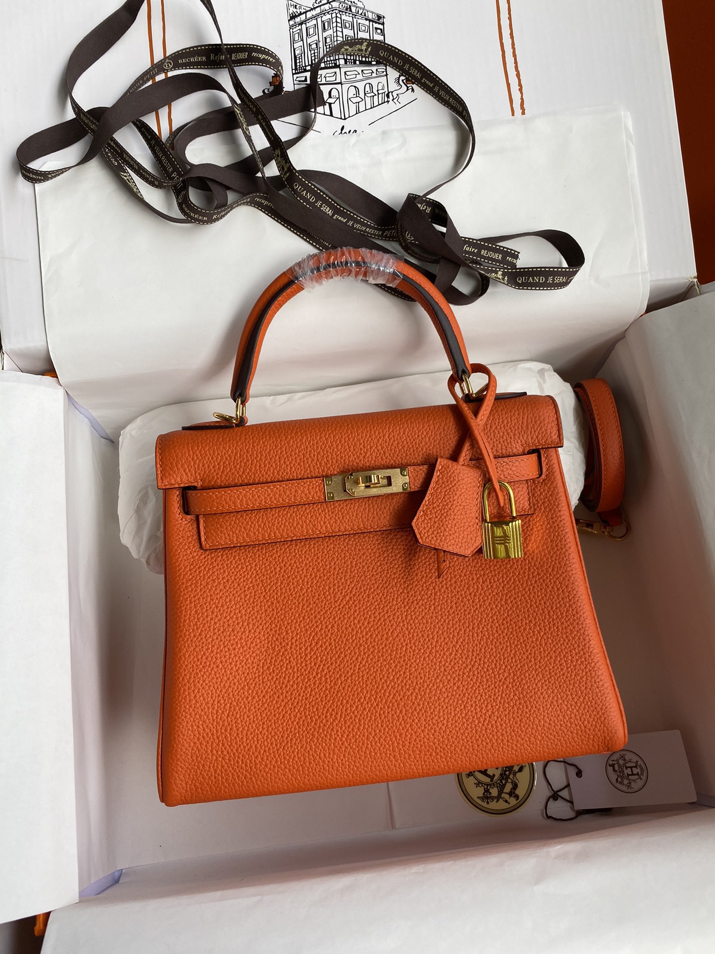 Hermes Kelly 25cm Handbag Shoulder Bag in Orange Togo Leather